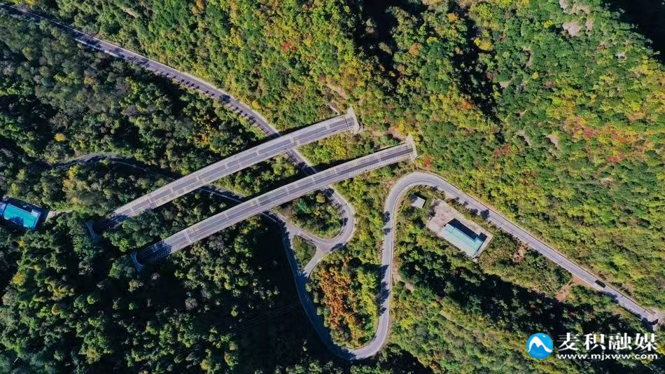 5d4669cc46967ba41d850325e0de8cdc