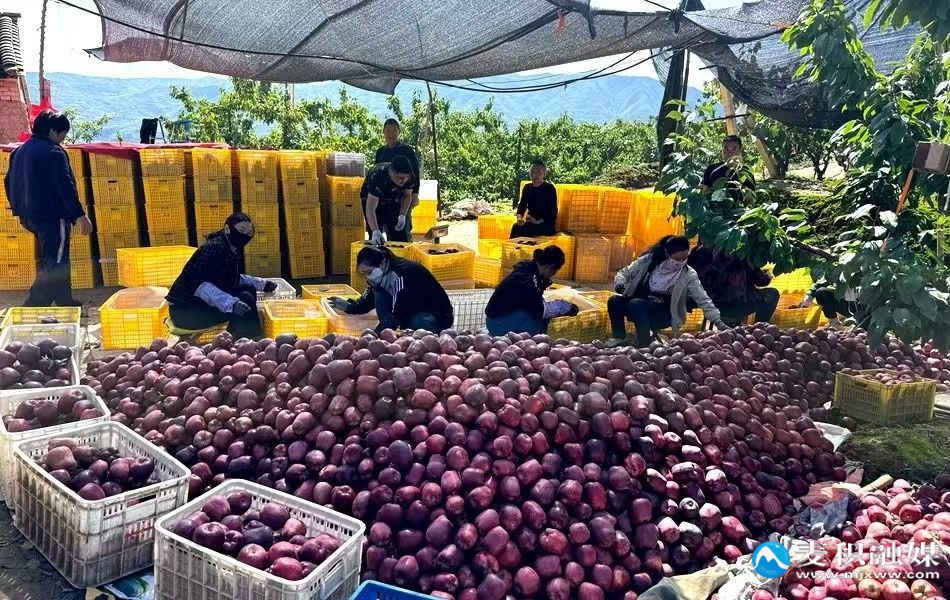 4ede826595506b7989cc624ae3ca500e