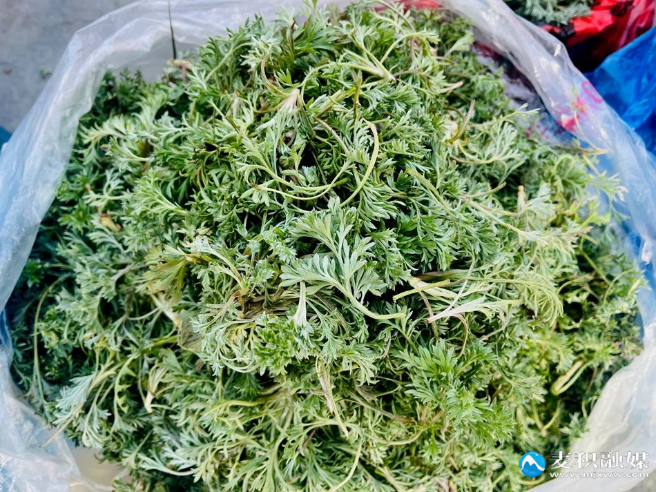 微信图片_20260311154719_371_10