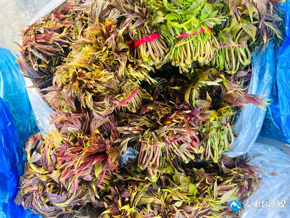 微信图片_20260311154713_369_10