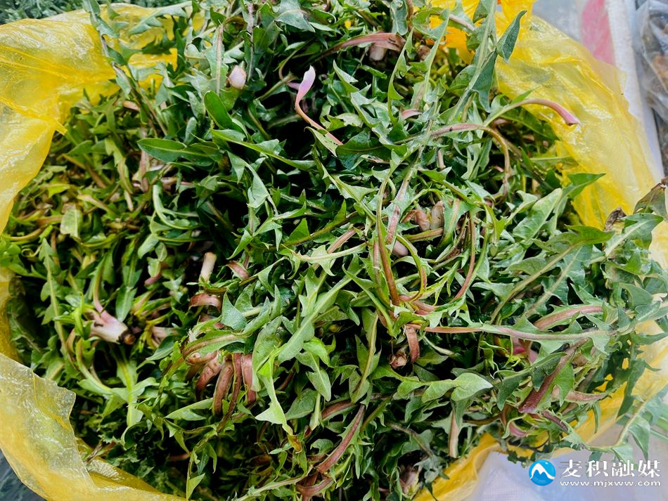 微信图片_20260311154651_361_10