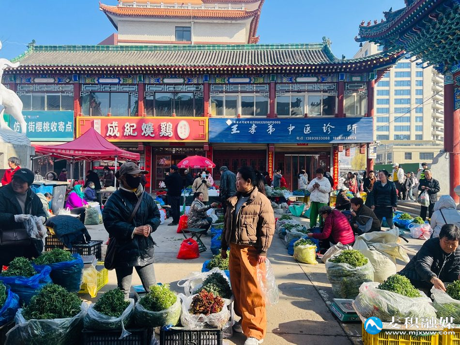 微信图片_20260311154626_353_10