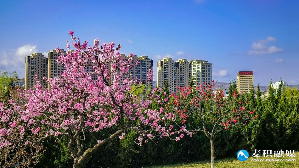 IMG_20260328_1006551