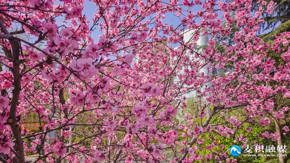 IMG_20260328_1119461