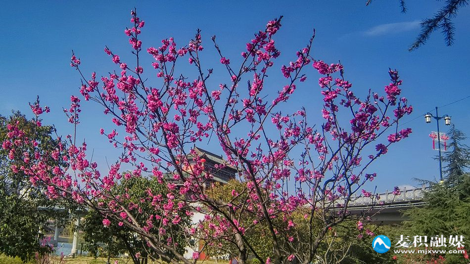 IMG_20260328_0941091