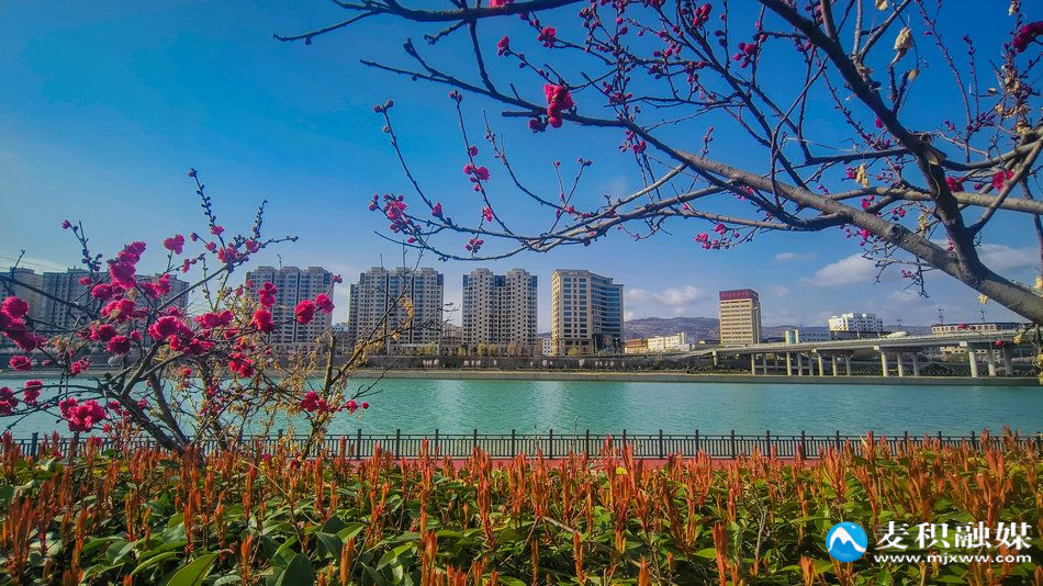 IMG_20260328_0946021