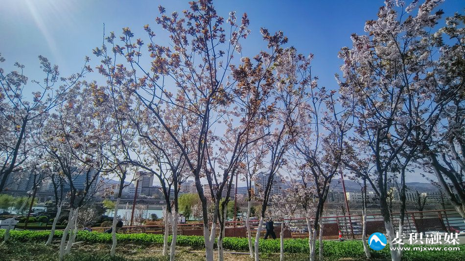 IMG_20260328_1031471