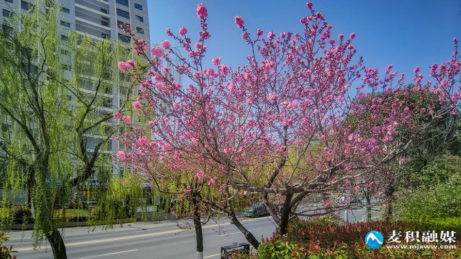 IMG_20260328_1055181