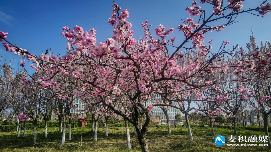 IMG_20260328_0958211