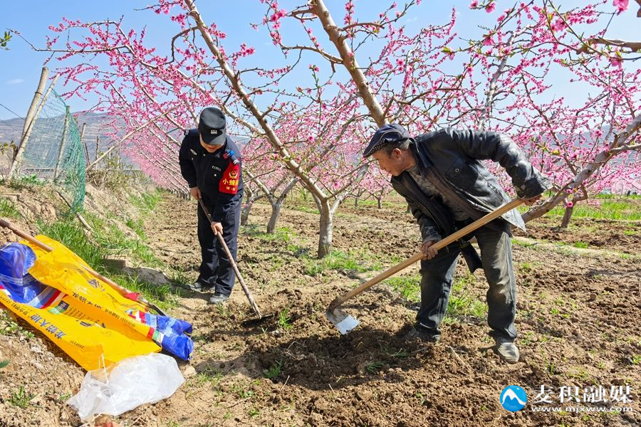 微信图片_20260401112105_129_130 微信图片_20260401112105_129_130