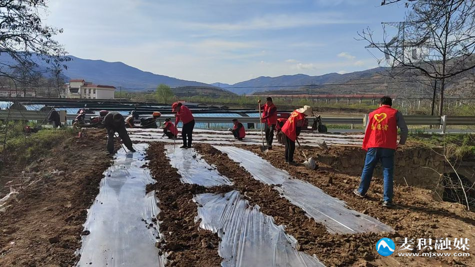 微信图片_20260402104837_61_168