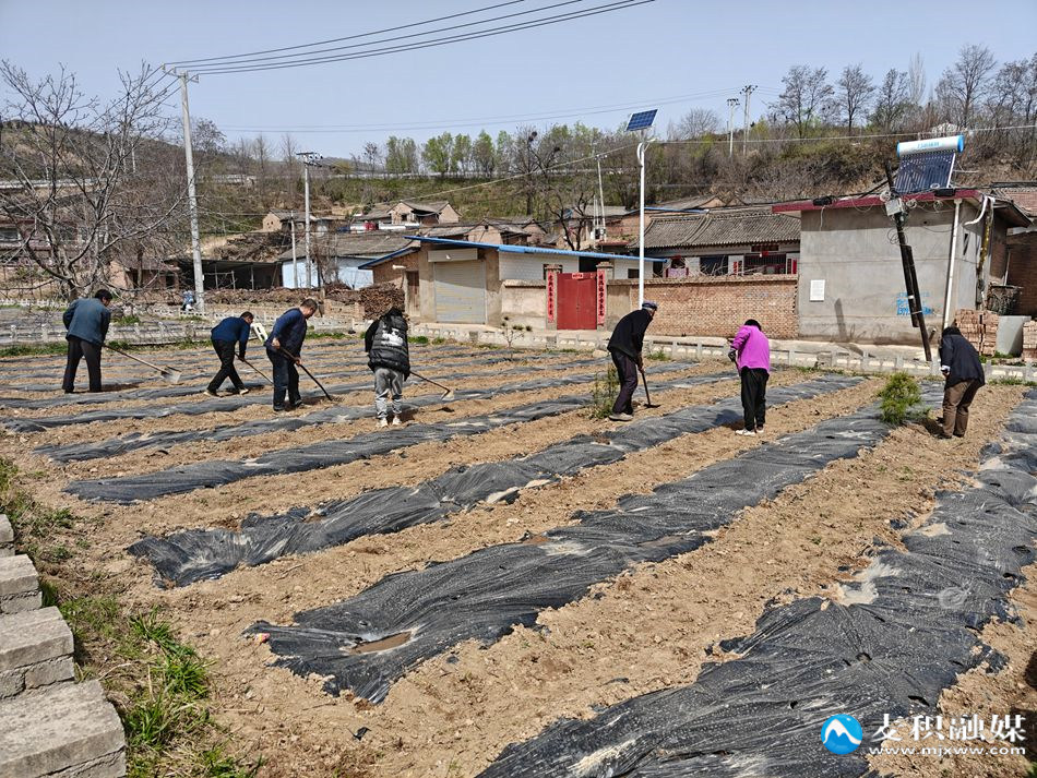 微信图片_20260404174617_153_119