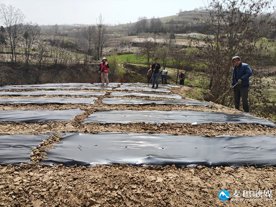 微信图片_20260404174607_149_119