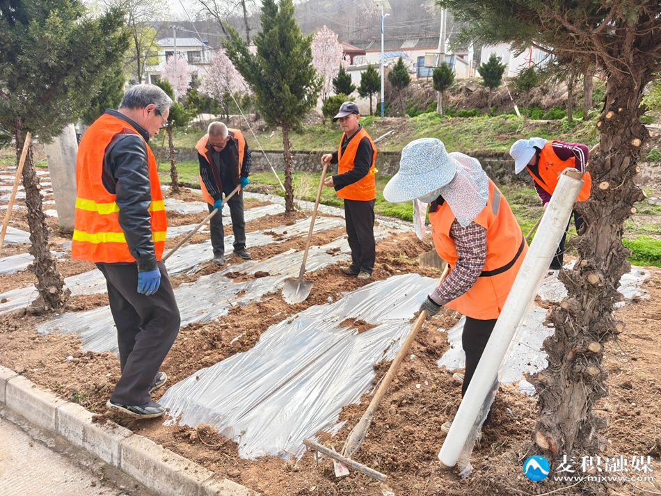 微信图片_20260404174550_143_119