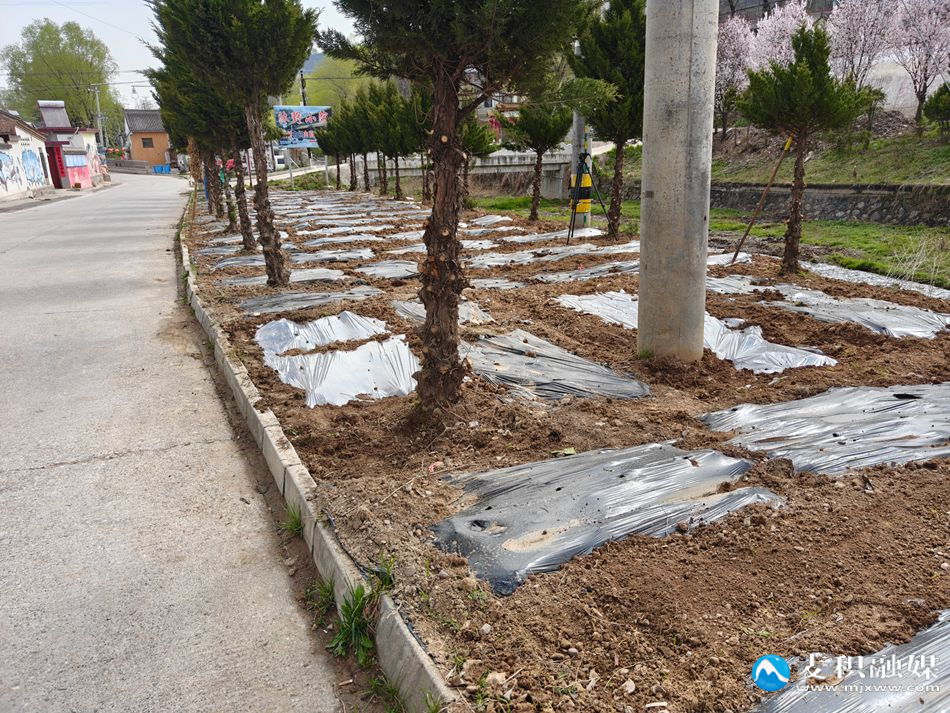 微信图片_20260404174553_144_119