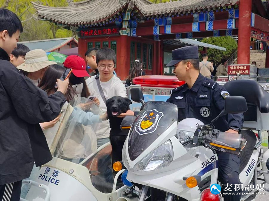 d31cd79d51c9a6174f7a791cbeb3dd4f d31cd79d51c9a6174f7a791cbeb3dd4f