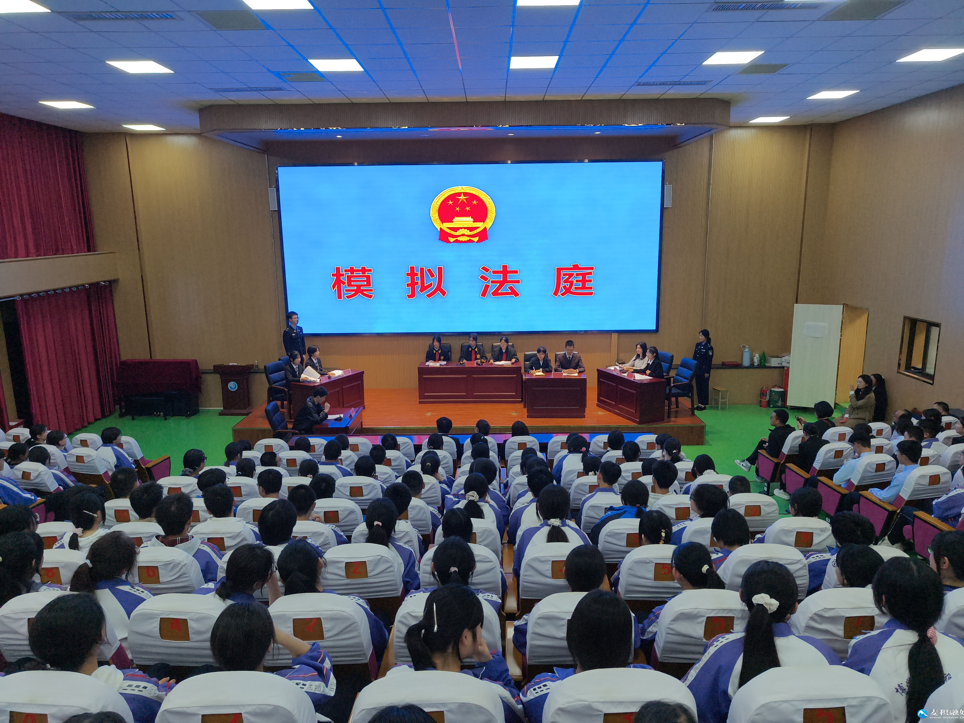 1775813970061012926.jpg 1775813970061012926.jpg