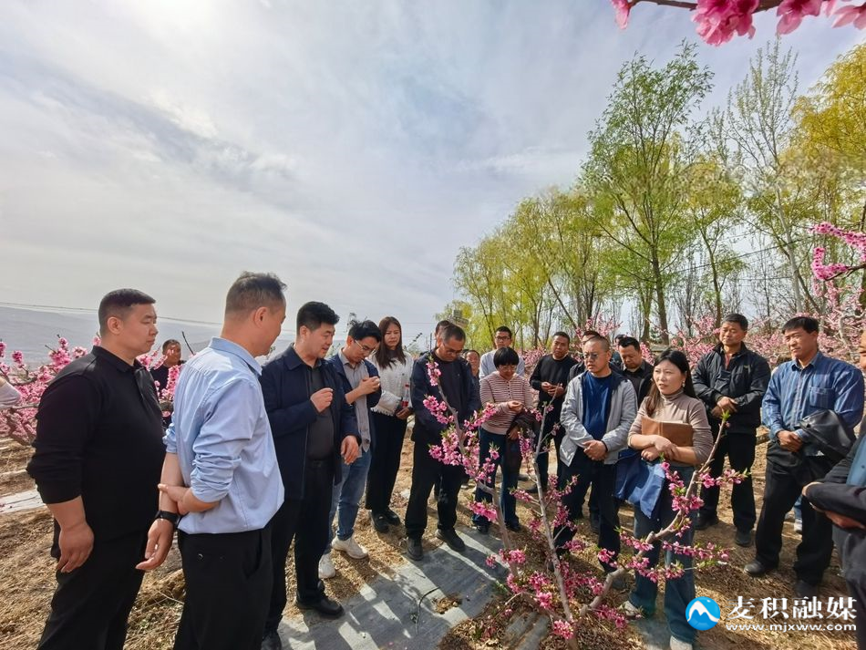 微信图片_20260411132903