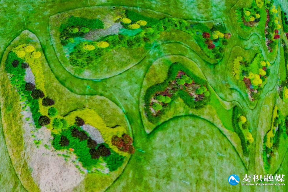 DJI_09062