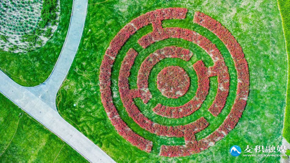 DJI_08461
