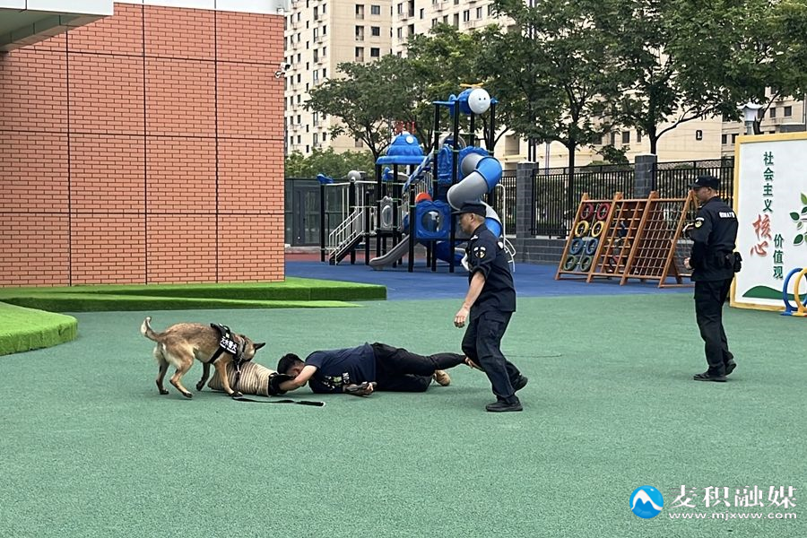 微信图片_20250606144742