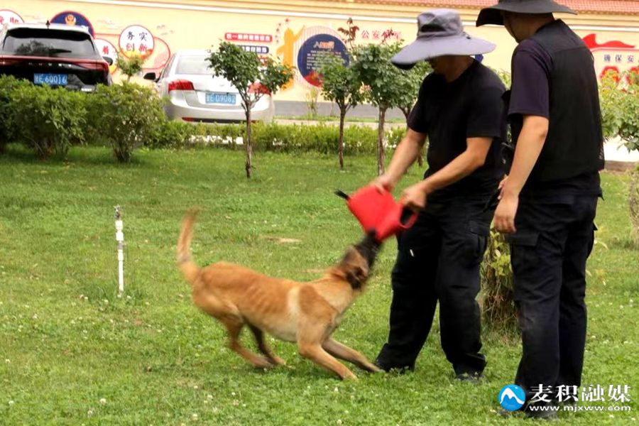 微信图片_20250709110322